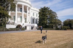 Joe Biden and his German shepherds