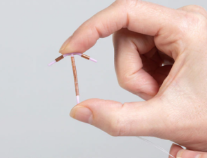 Person holding Paragard IUD