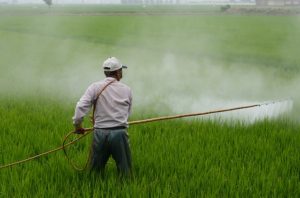 farmer spraying pesticide on a farm