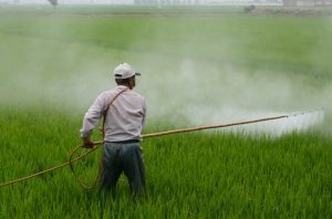 agricultor rociar pesticidas en una granja