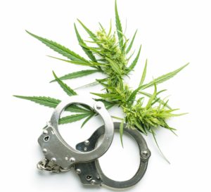marijuana arrests and social justice