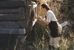 collecting chicken eggs from the backyard coop