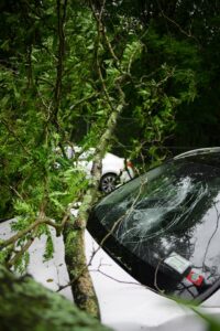 car smashed into a tree