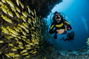scuba diver underwater with a school of yellow fish