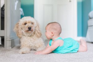 Bebé con perro pequeño